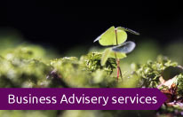 Business advisory services from Assess and Progress Limited - Ross Hulse